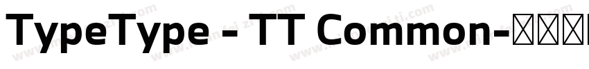 TypeType - TT Common字体转换